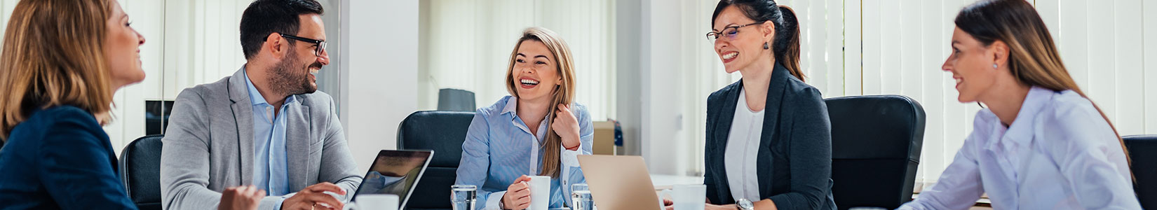 Non-PEO Professional hr consultants