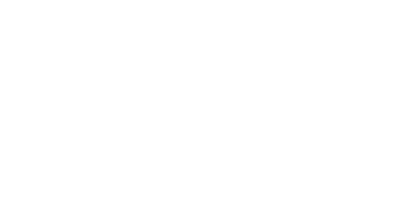 Flex HR consulting and outsourcing footer logo