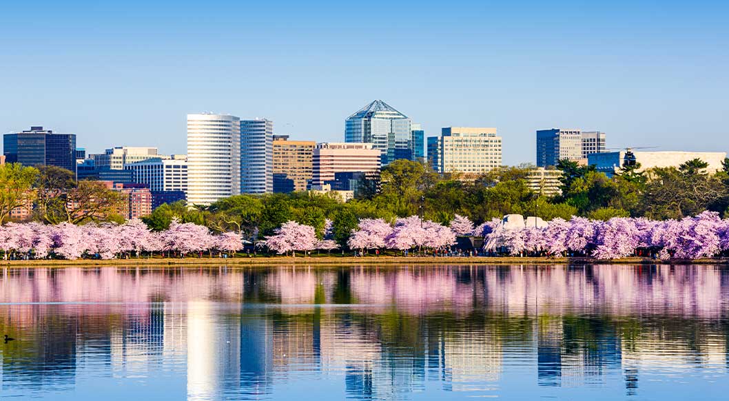 Washington DC Baltimore, MD Arlington, VA Human Resources Consulting & Outsourcing