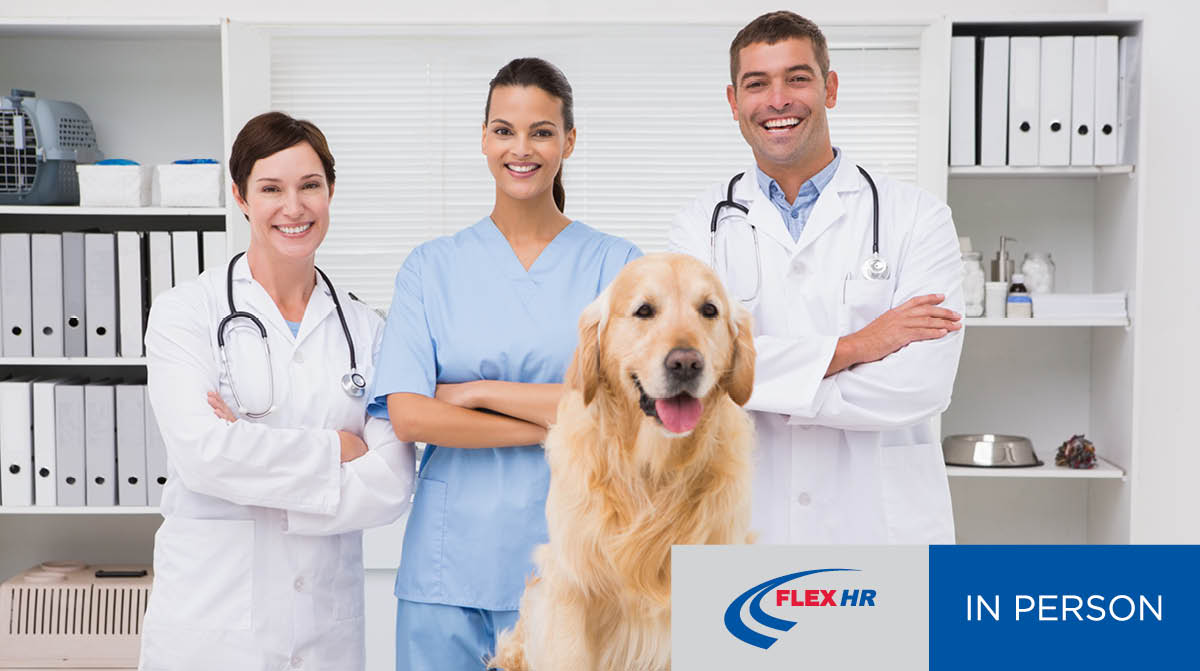 VSG Veterinarian Group Conference 2025