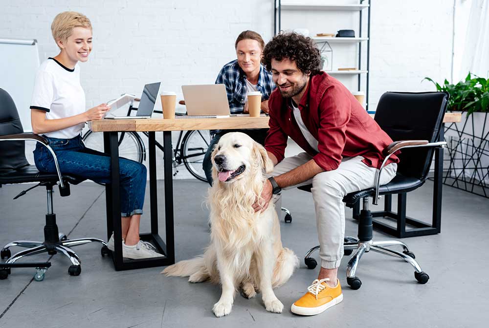 Company HR Pet Policies Benefits
